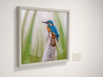 Kingfisher