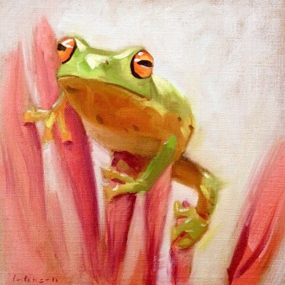 Tree Frog