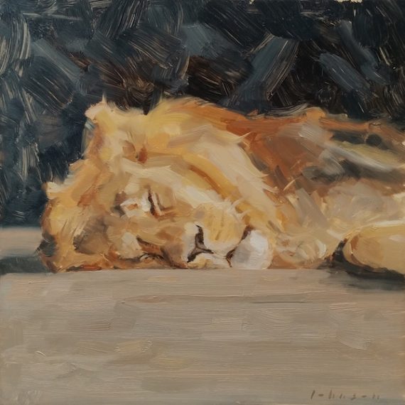 Cat Nap